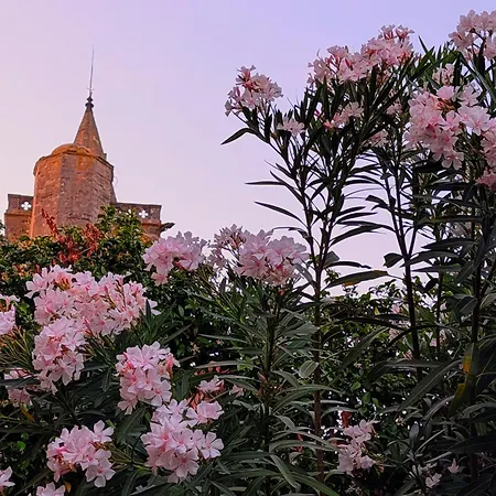 Sejour Detente Avec Son Privatif Proche De La Cite De Carcassonne Et Du Canal Du Midi 3*